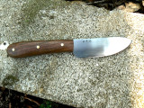 Bullnose Skinner on Block.jpg