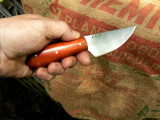 Bloodwood in Hand.jpg