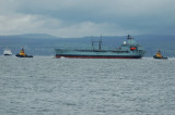 RFA Bayleaf