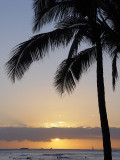 DSC05488.JPG