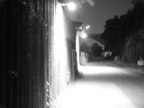 Dsc00503.jpg