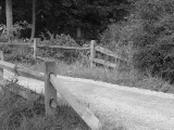 Dsc01730-1.jpg