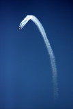 IMG_1061.jpg