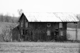 IMG_2116-1.JPG