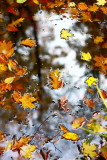IMG_3405new.JPG