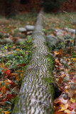 IMG_3406new.JPG