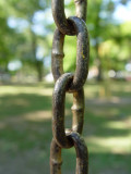 DSC05900.JPG