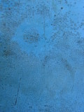 DSC05902.JPG