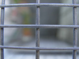 DSC05976.JPG
