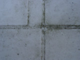 DSC05984.JPG