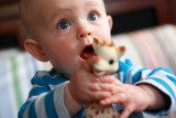 IMG_3755new.JPG