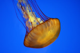 IMG_0561.jpg