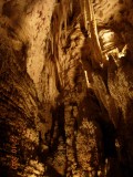 Waitomo Caves, Waitomo