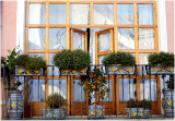 Window With Style