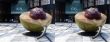 ION Orchard (Cross-View Stereo)