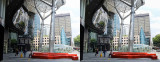 ION Orchard (Cross-View Stereo)