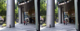 ION Orchard (Cross-View Stereo)