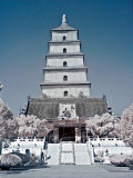Wild Goose Pagoda at Da Cien Temple