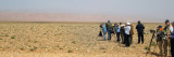 Non stop birding!! - The group in the Tagdilt plateu or steppes