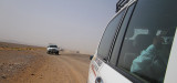 Birding Excursion with 4x4 in the desert