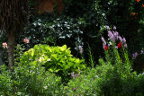 Flowered Garden