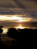 A sunset in the Banya Bay - Puesta de sol en el Delte del Ebro - Posta de sol a la Bahia del Alfacs