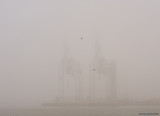 Two birds and two cranes in fog