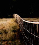 fence