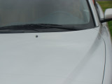 DSC02931.JPG