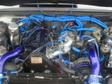 DSC02944.JPG