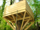 Tree house