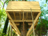 Tree house