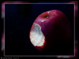 December 3rd: Snow Whites Apple