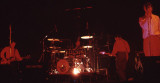 Dave Allen, Hugo Burnham, Andy Gill, Jon King, Bologna, 1981