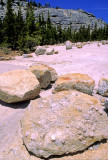 (WES2) Differential weathering of granite results in relief of K-feldspar in granite, Yosemite National Park, CA