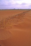 (WES6) Wind induced soil erosion due to drought, Goom, TX
