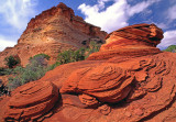 (PP 25) Paw Hole Section, South Coyote Buttes, AZ