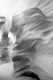 _DSC0811.jpg