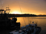 Marina at dawn