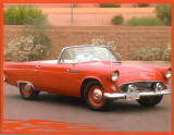 Eds 1955 Thunderbird