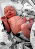 Our Son Will - born Feb 2010