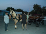 Georgos & Zarah with one of theirs carriage