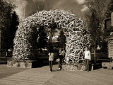 Antler Arch in Jackson