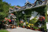 House in Bloom Inistioge.jpg