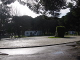 DSC05061.JPG