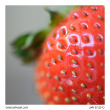 strawberry #4