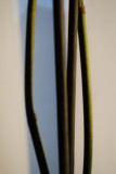 DSC_0051.JPG