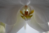 DSC_0201.JPG