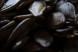 seeds