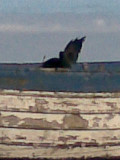 Aldeburgh Beach - 436.jpg